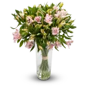 Kytice alstromerii